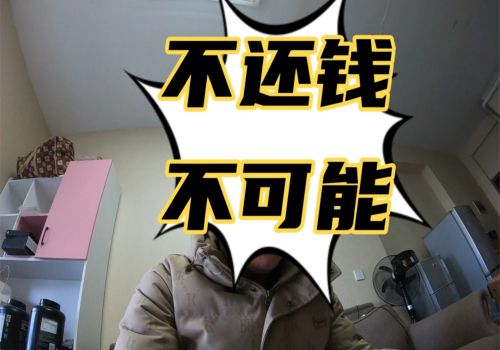 东莞讨债：按揭的房子能抵押给个人吗